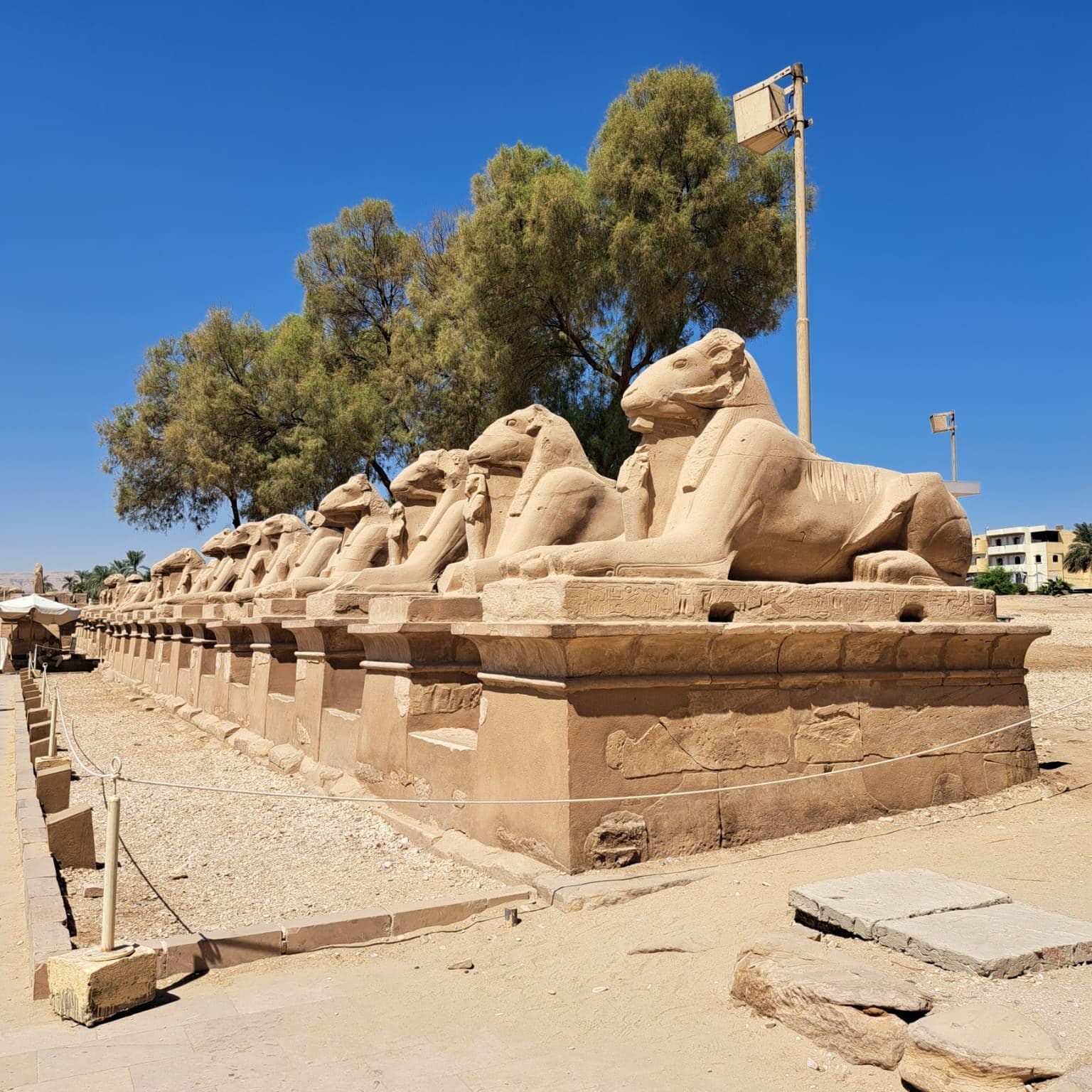 Allee der Widdersphingen in Karnak bei Luxor