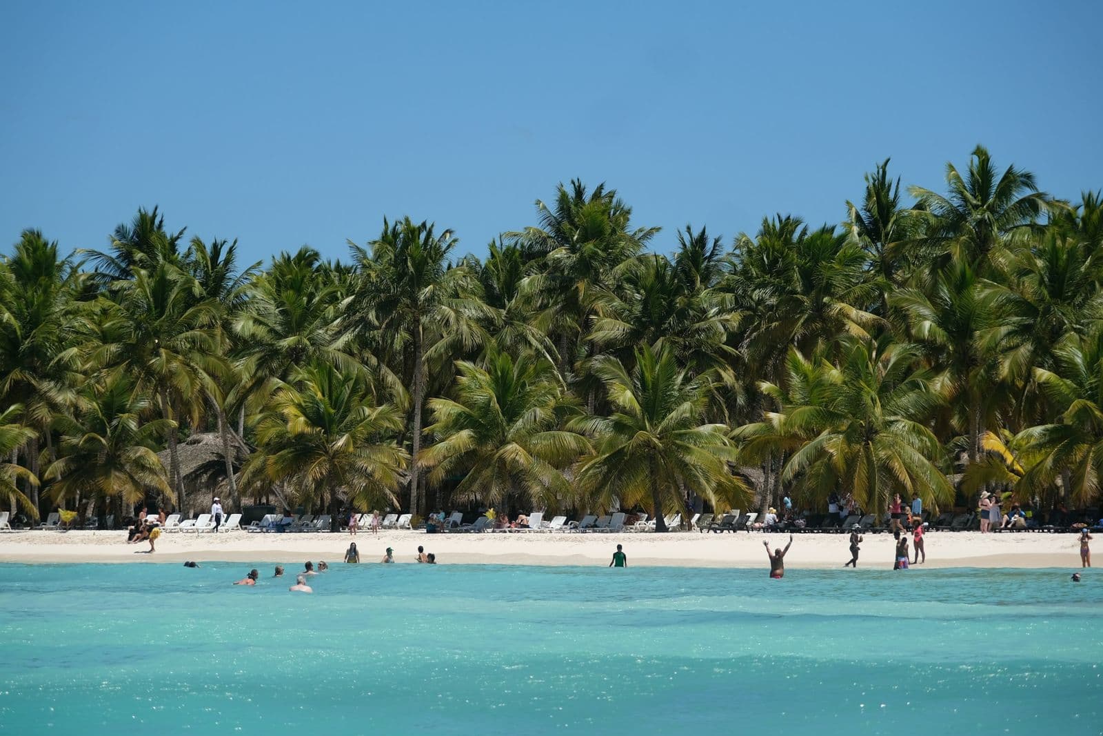Palmenstrand mit türkisem Wasser in der Dominikanischen Republik
