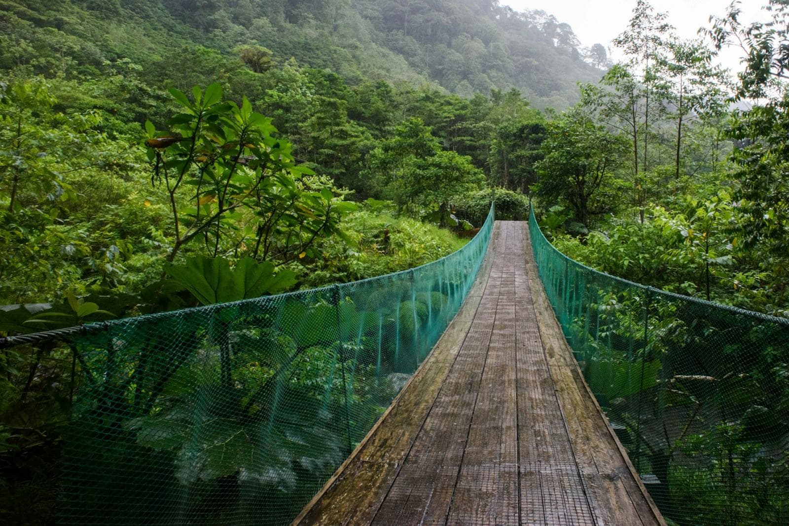 Hängebrücke im Nebelwald bei Poás in Costa Rica