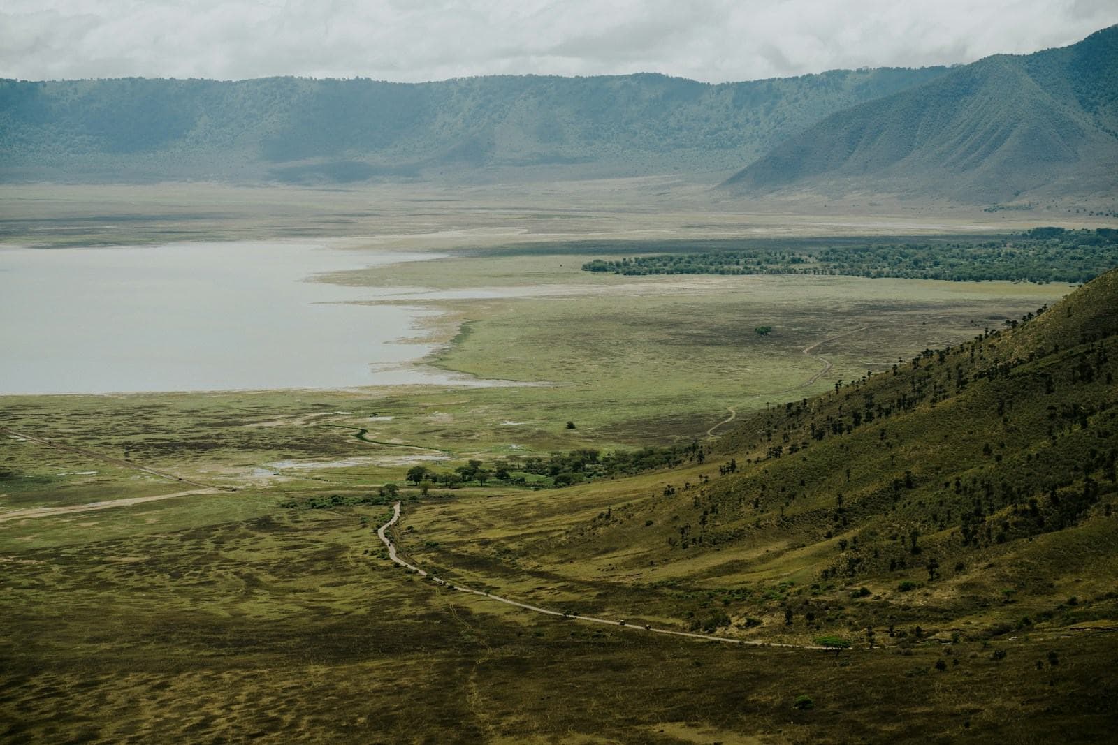 Blick in den Ngorongoro-Krater mit See und Grasebene