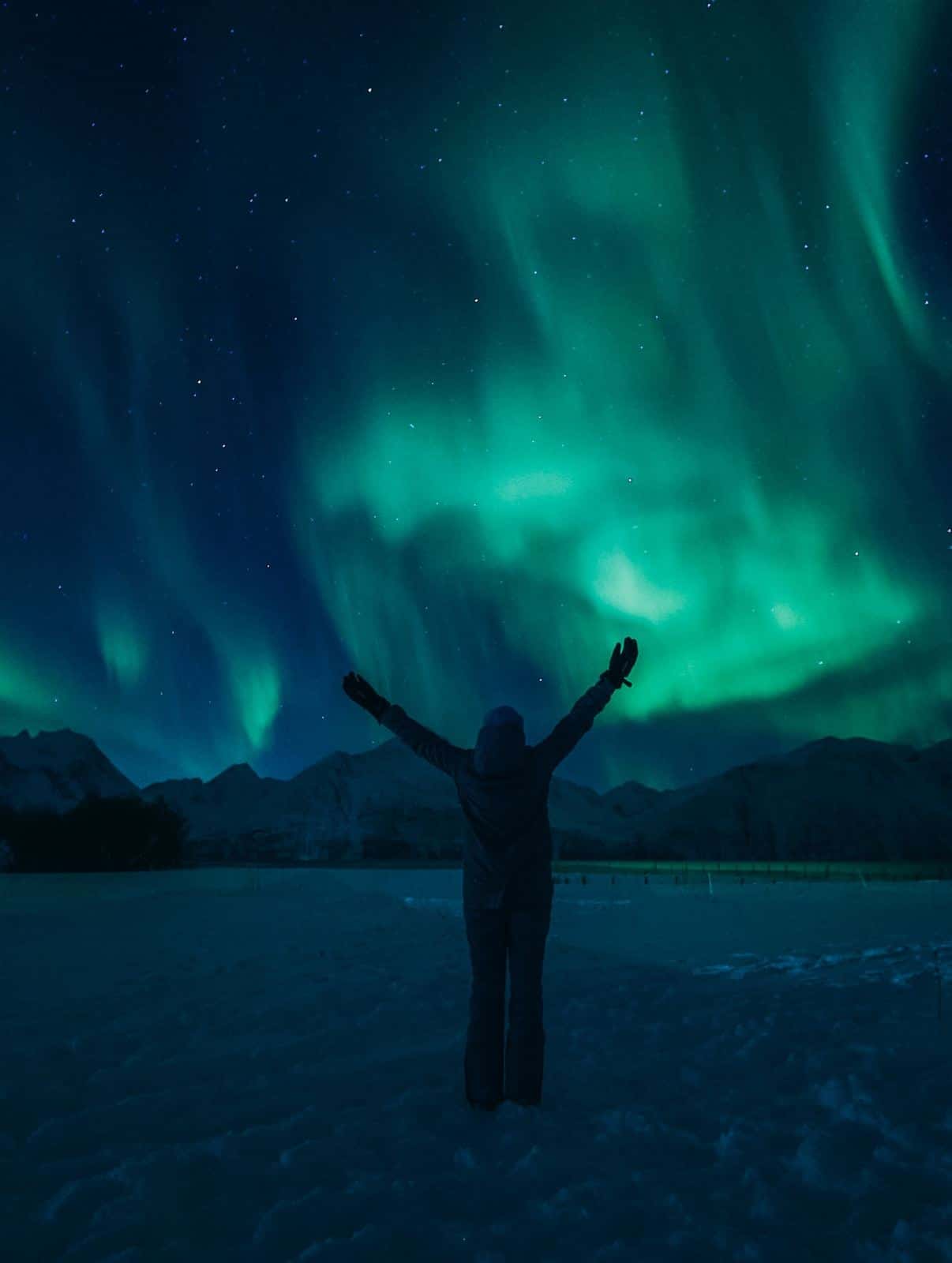 Nordlichter über Tromsø – Foto aus Martinas Reise
